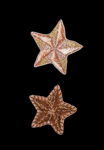 5 etoiles broderie or